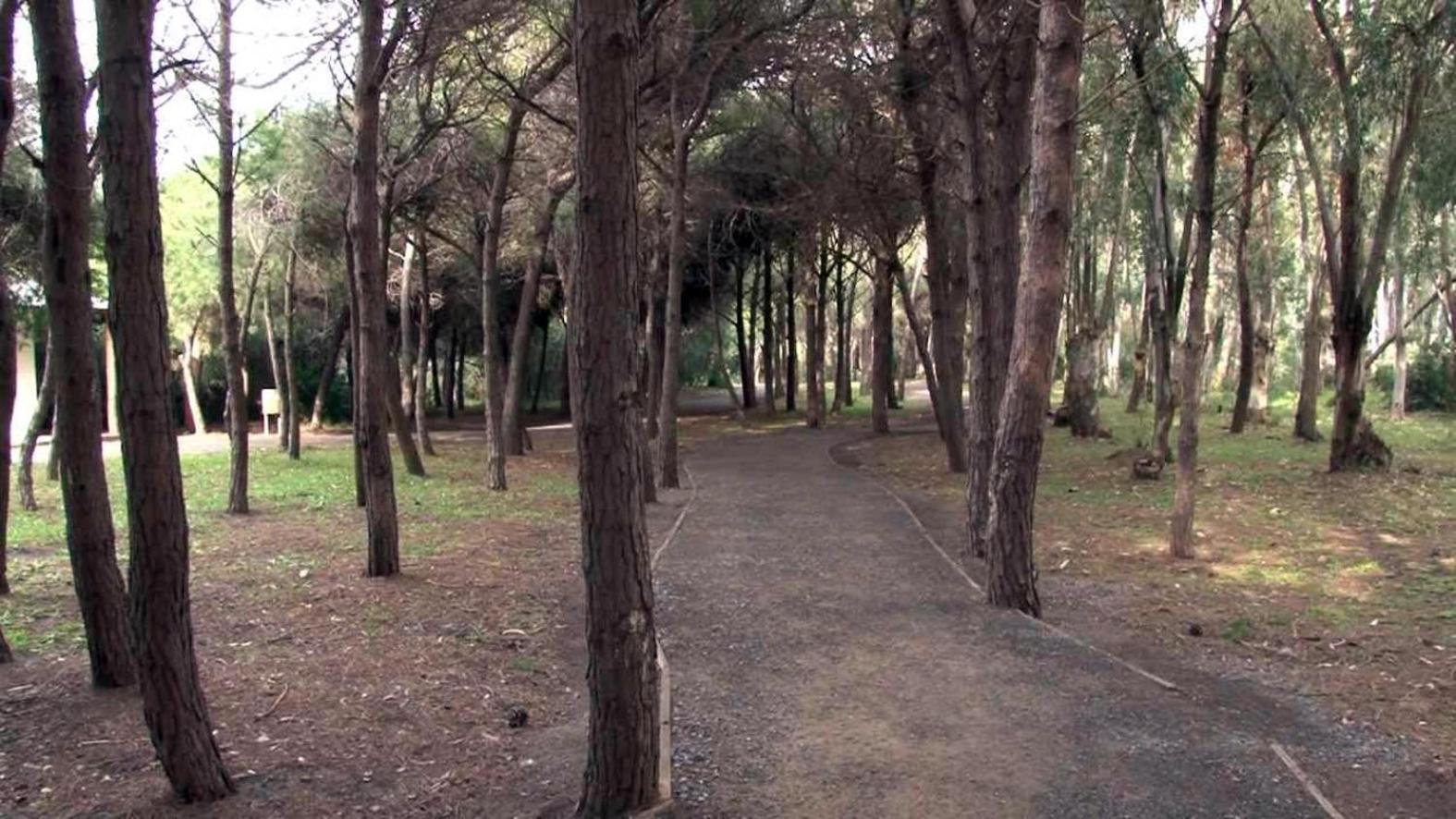 B&B Pineta Mare Lamezia Terme Bagian luar foto